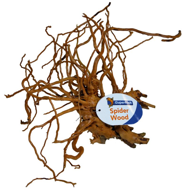 SPIDER WOOD M