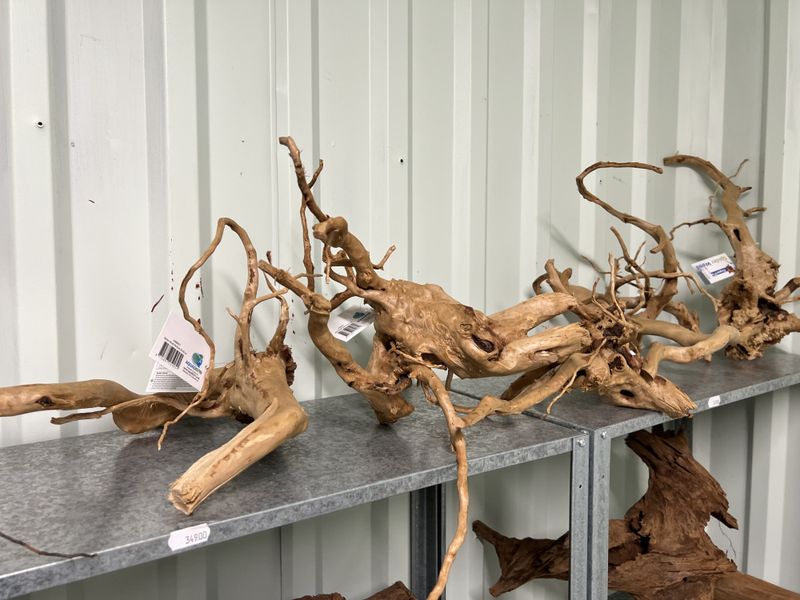 SPIDER WOOD M