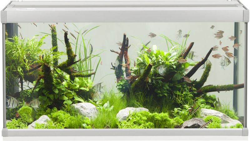 AkvaStabil FAMILY akvarium