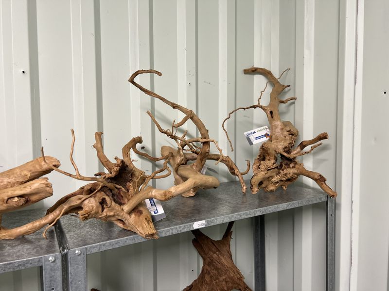 SPIDER WOOD M