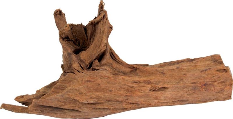 Mangrove trädrötter L - 35 cm-45 cm