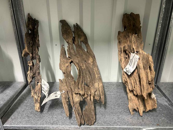 Huvudbild HONEYCOMB WOOD M